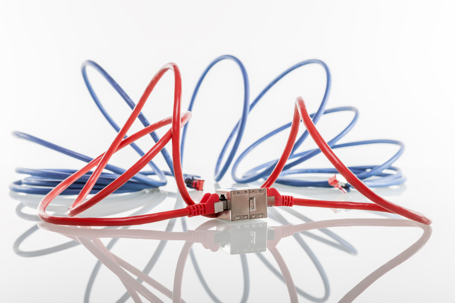 Can Cat6 cables work with Cat5 Free advice and surveys